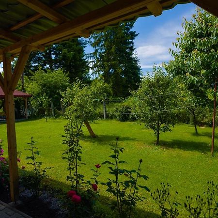 كلوج-نابوكا Pension Verona Centru المظهر الخارجي الصورة